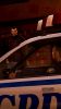 GTA 4 - 37